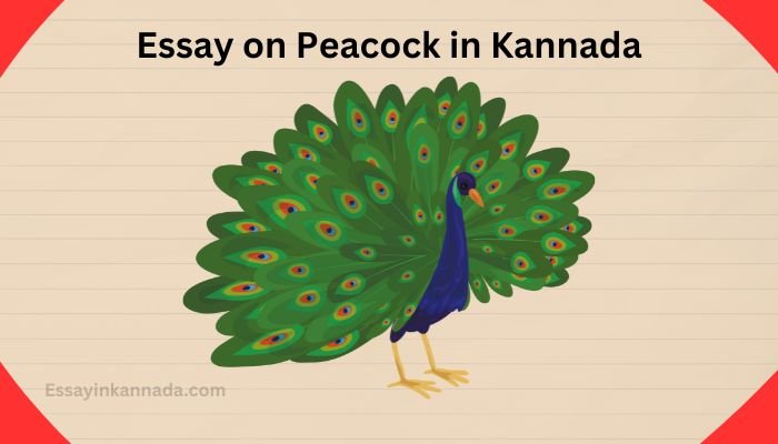 ನವಿಲಿನ ಮೇಲೆ ಪ್ರಬಂಧ Essay on Peacock in Kannada